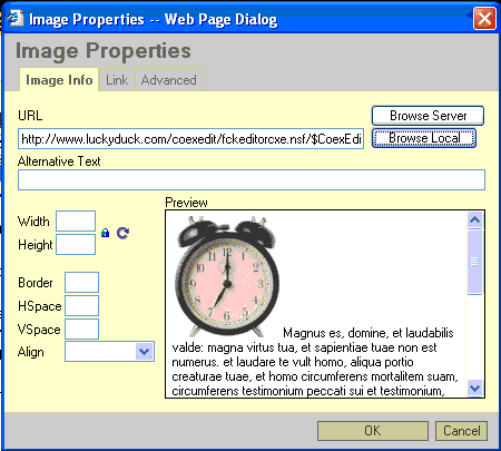 Image properties dialog box with preview