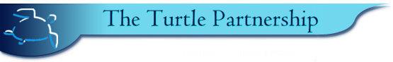 Turtle Partnership logo